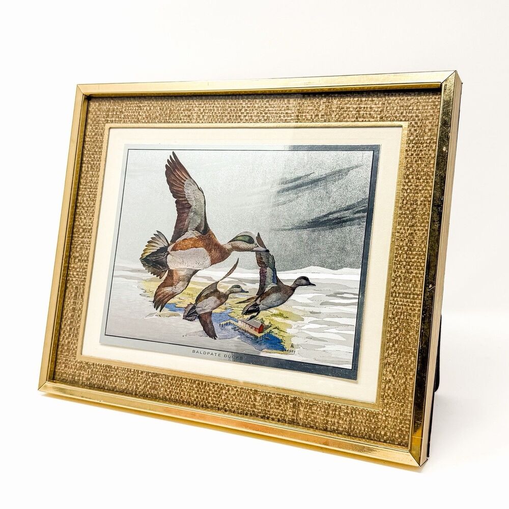 Vintage Fred Sweney Baldpate Ducks Metallic Foil Print Framed Wildlife Art